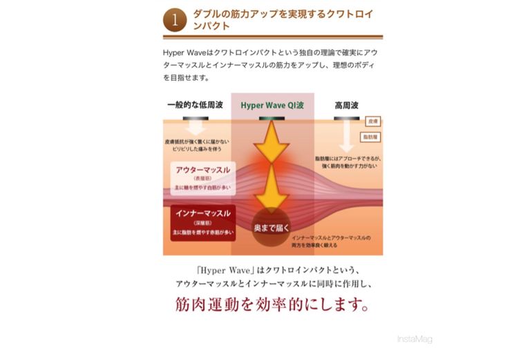 表層筋と深層筋